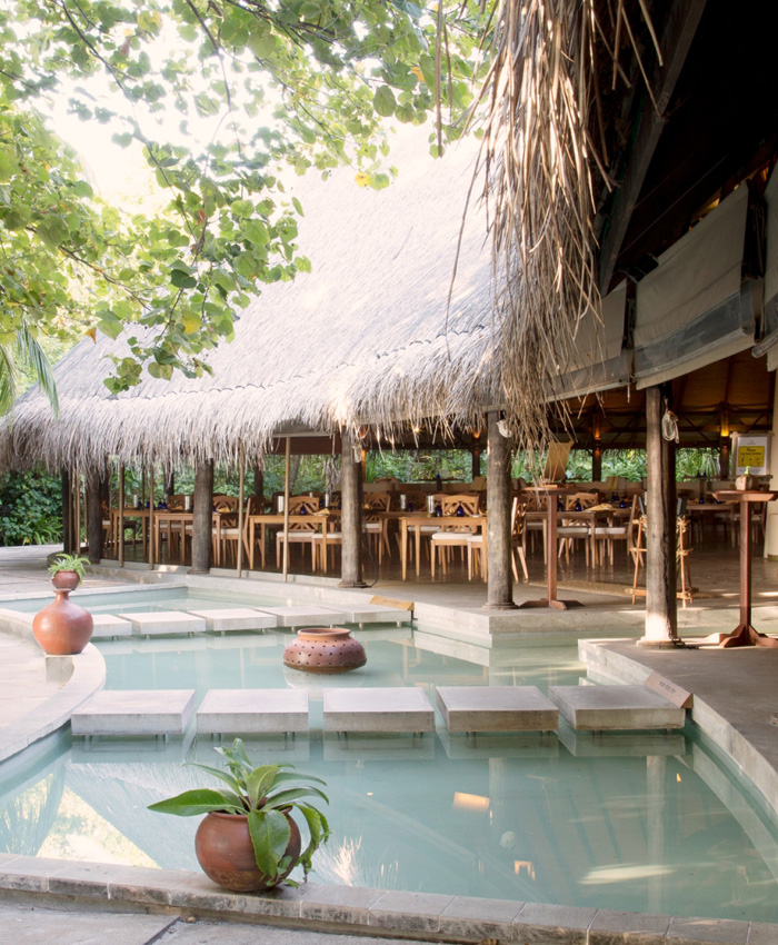 Coco Palm Dhuni Kolhu - Cowrie