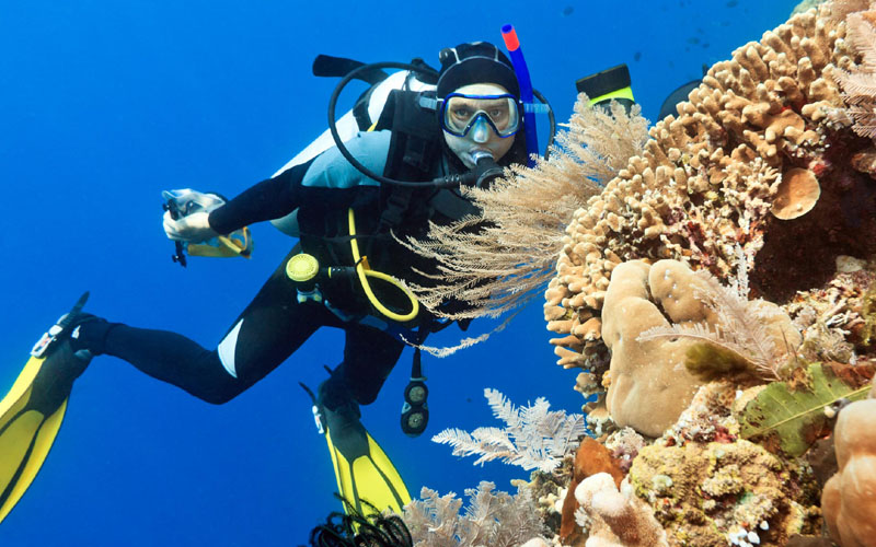 Cocoon Maldives - Excursions