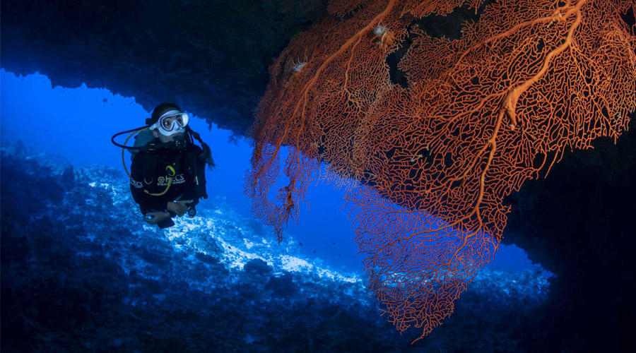 COMO Maalifushi  - Diving