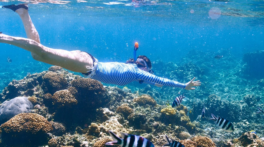 COMO Maalifushi  - Reef Explorer