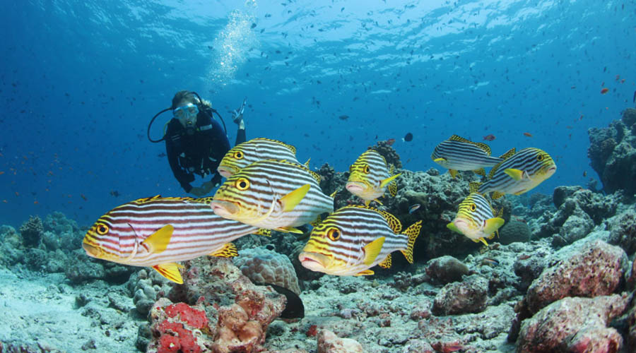 Conrad Maldives Rangali Island - Dive Centre