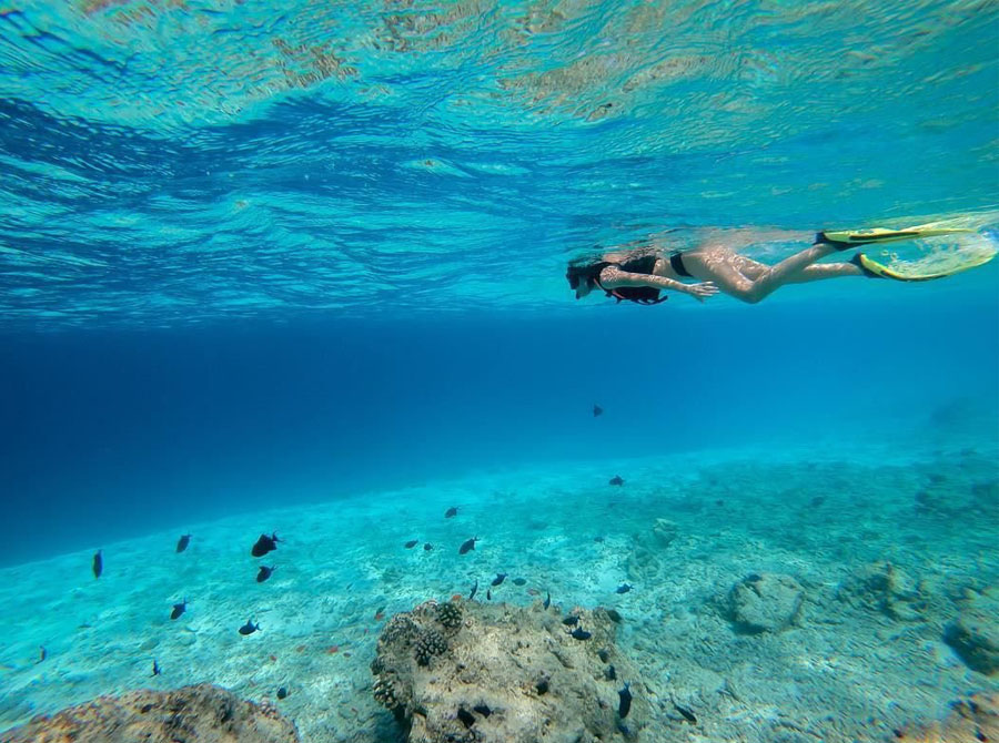 Fushifaru Maldives - Snorkeling Trips
