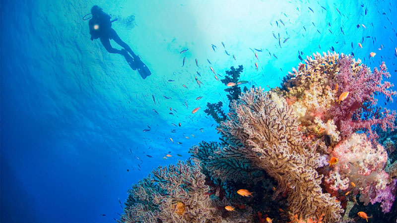 Joali Maldives - Water Sports