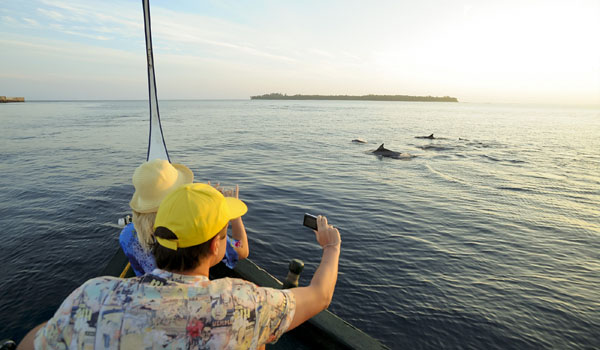 Sun Island Resort & Spa - Excursions