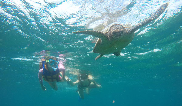 Sun Island Resort & Spa - Snorkeling